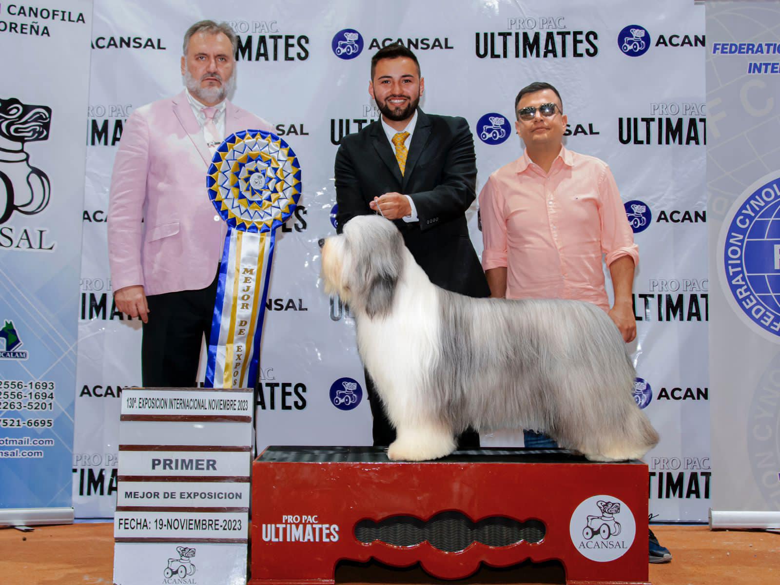 Multi Champion De Chester