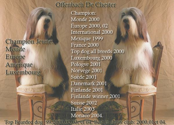 Multi Ch Offenbach De Chester