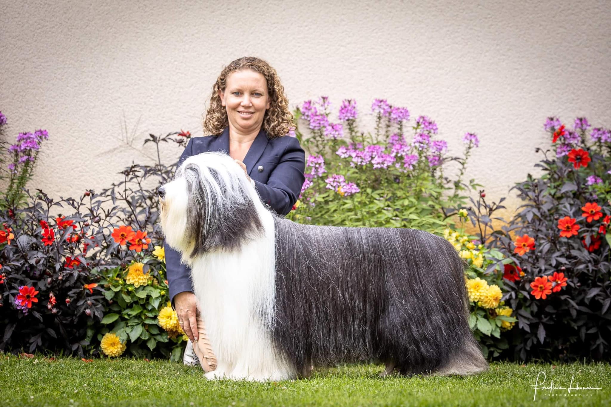 Champion De Chester en exposition